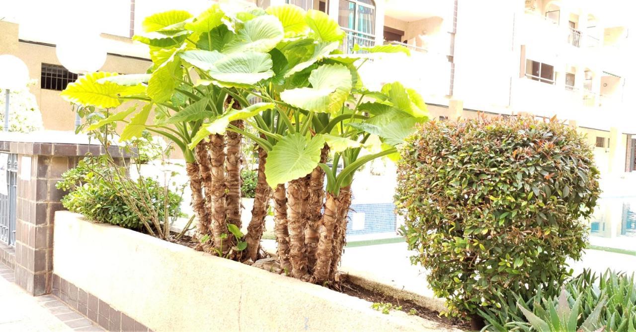 Ecaterina Apartment トレビエハ エクステリア 写真