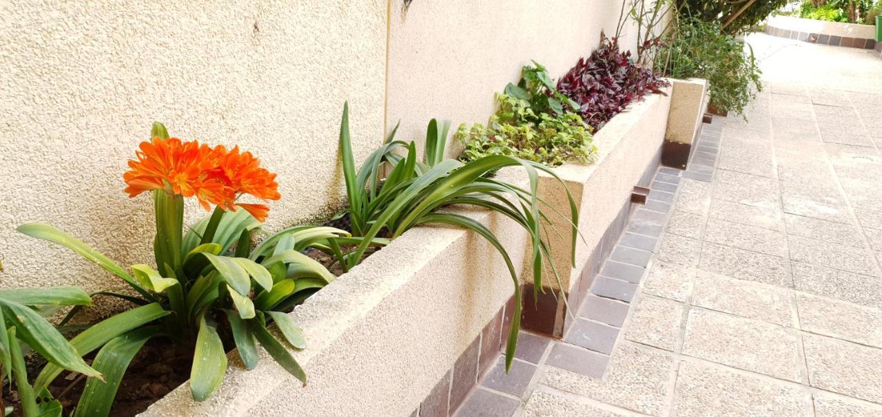 Ecaterina Apartment トレビエハ エクステリア 写真